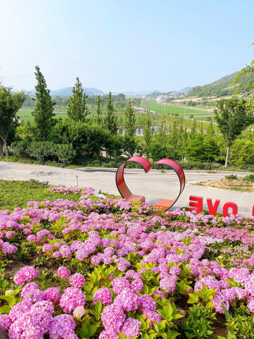도초도 수국축제