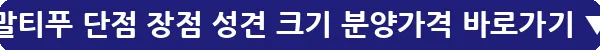 말티푸 단점 장점 성견 크기 분양가격_9
