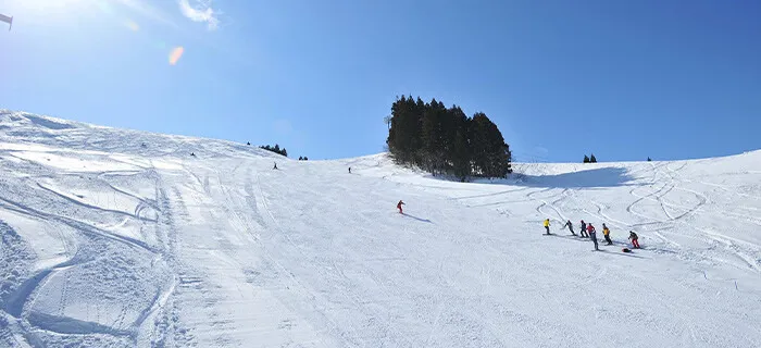 유자와 파크 스키장(니가타)2