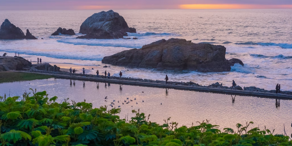 해묘미(亥卯未), 인오술(寅午戌), 사유축(巳酉丑), 신자진(申子辰)