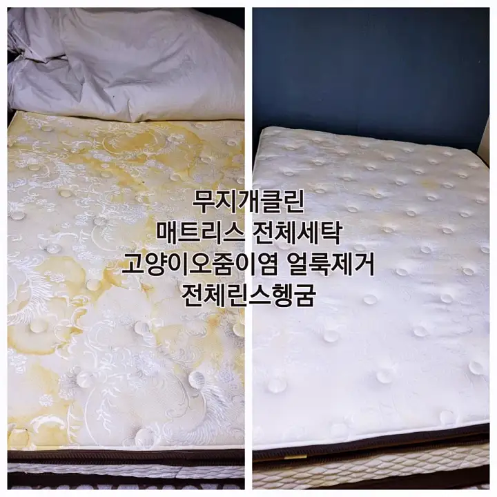 생생정보 매트리스 쇼파 의자 카페트 세탁 묵은 때 청소 전문가 연락처 및 의뢰
