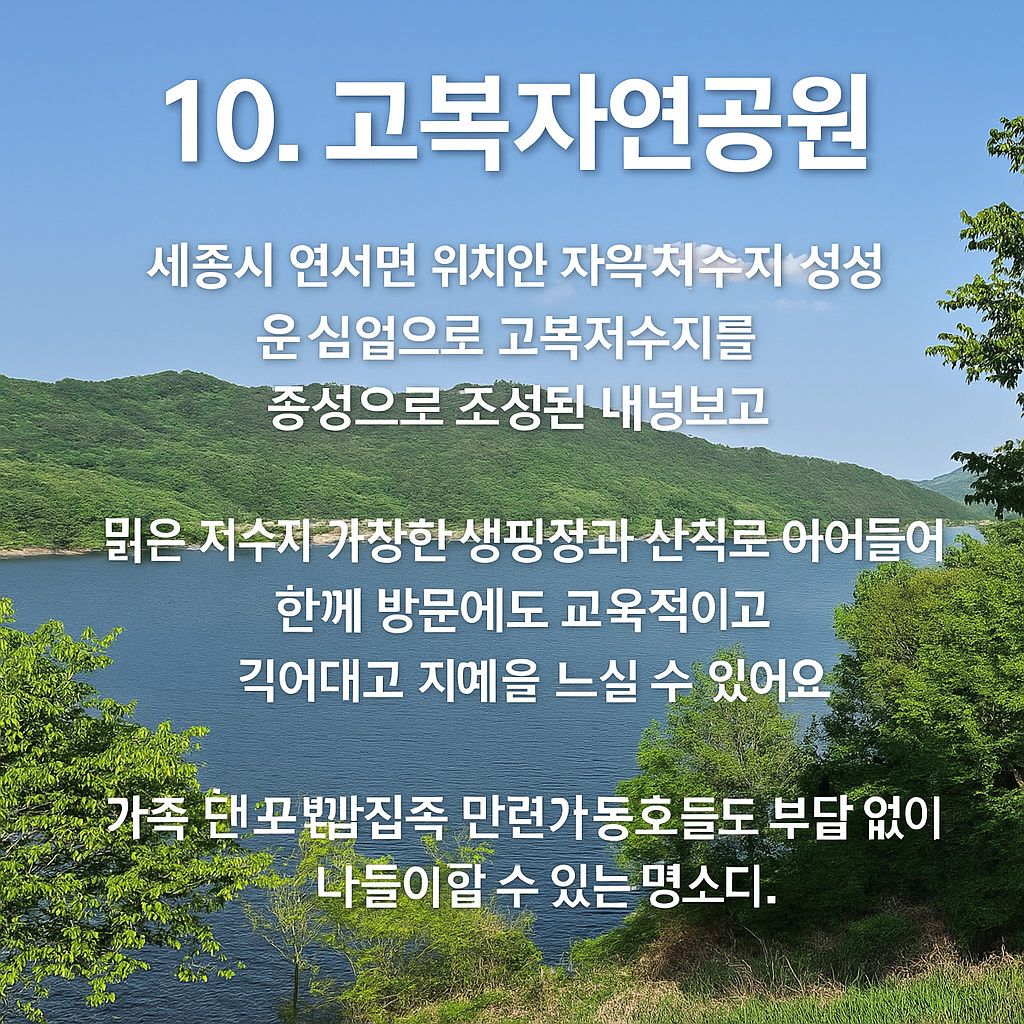 세종시 가볼만한 곳 베스트 10