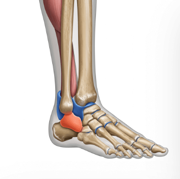 복숭아뼈 통증 완화하는 방법2