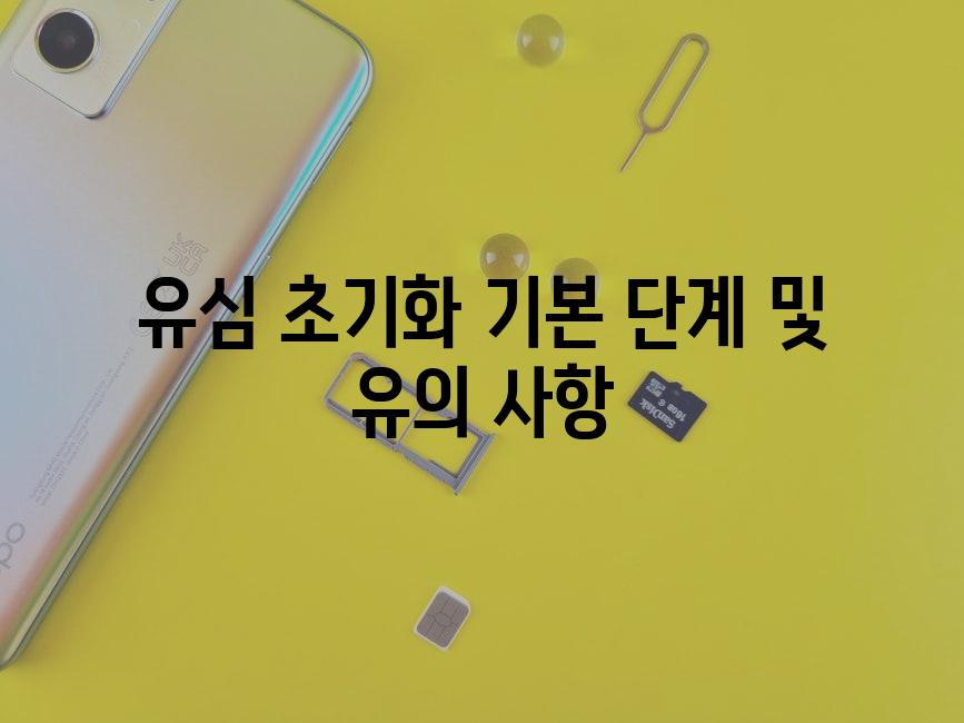 유심 초기화 기본 단계 및 유의 사항
