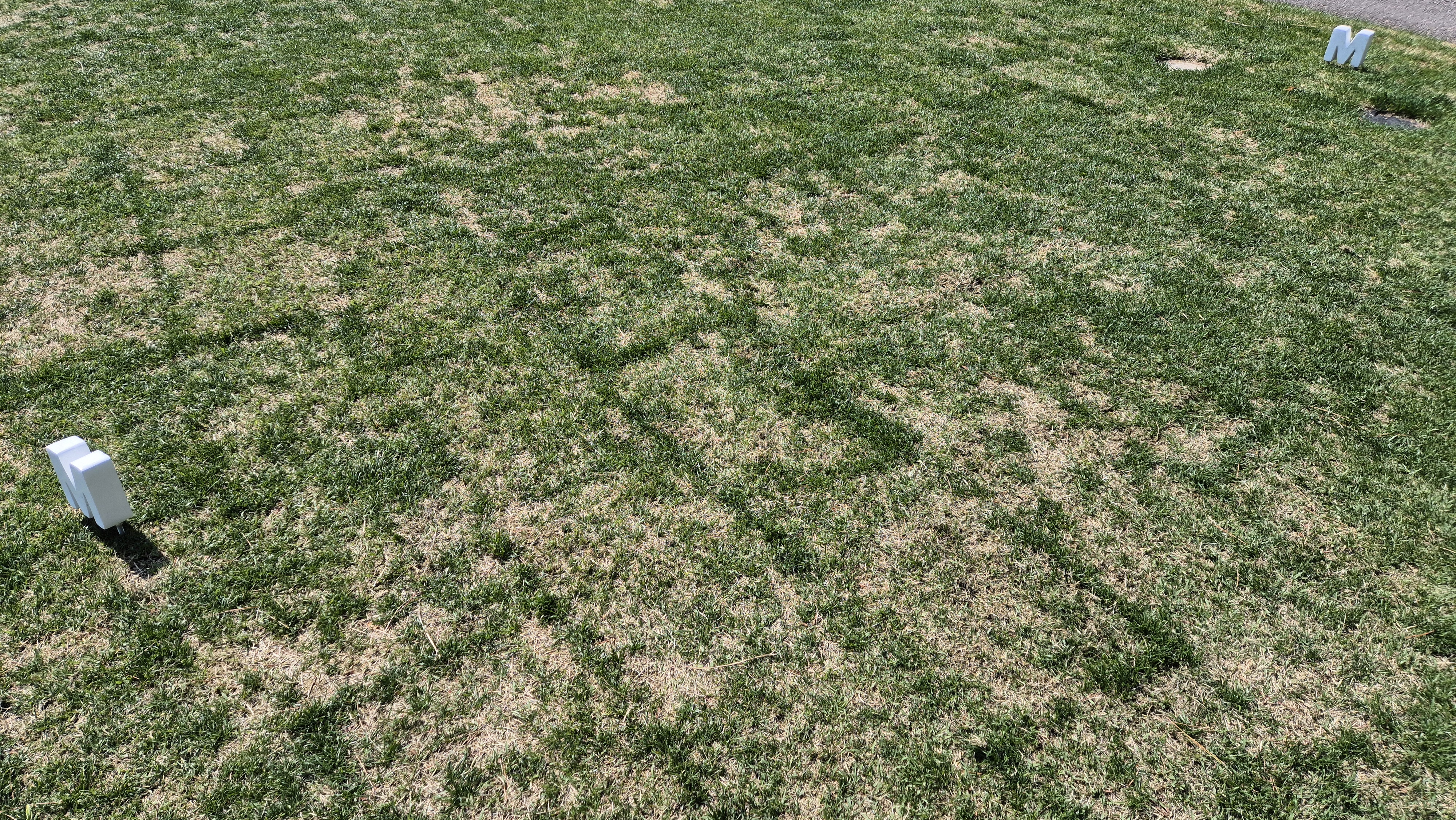 마에스트로cc 라운드 후기