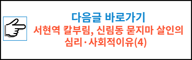 서현역 칼부림, 신림동 묻지마 살인