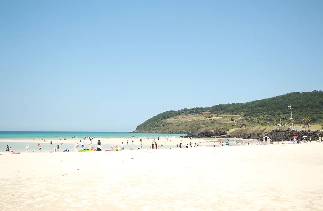 19코스의 핵심 보급지이자 하이라이트인 함덕해수욕장의 에메랄드빛 바다와 넓은 백사장 전경 사진