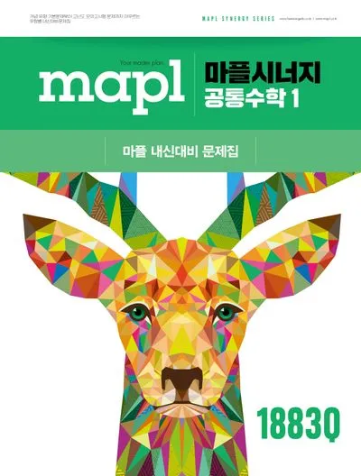 2025 마플시너지 공통수학2 책소개 교재리뷰 답지 모음집_5
