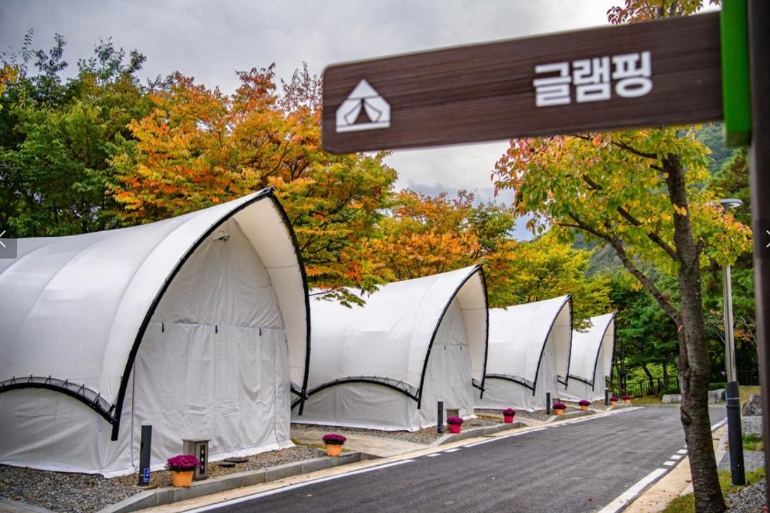 청량산 오토캠핑장