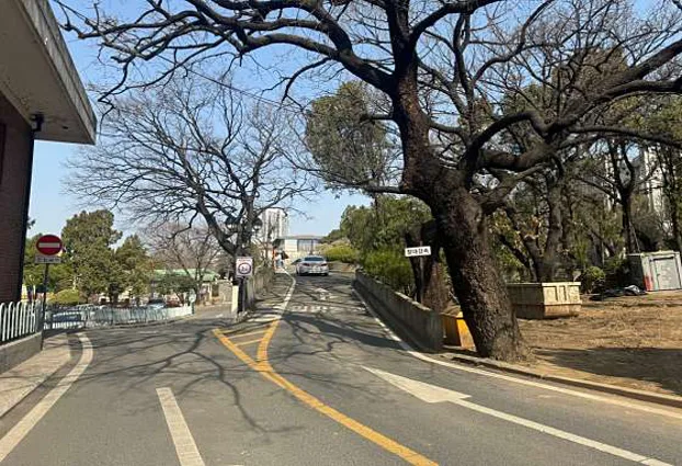 청라언덕