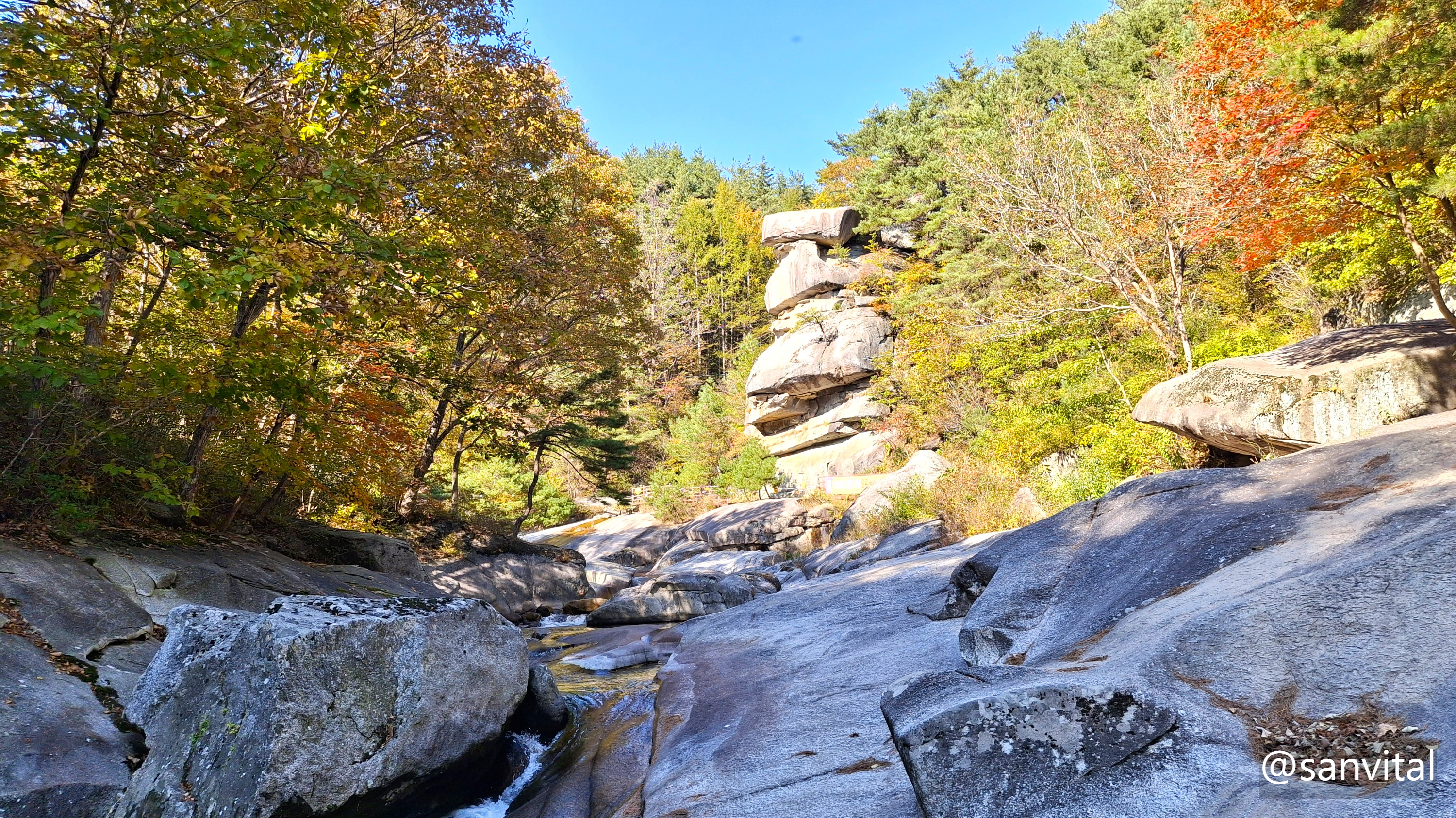 월성계곡 사선대
