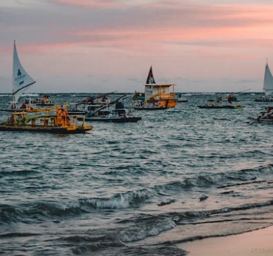 명태 이름 종류