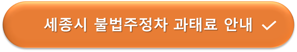 세종시 불법주정차 과태료