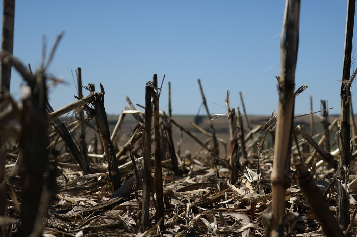 VR 멀미를 예방하는 5분 사전 준비 운동