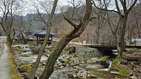 공주 동학사 : 천년의 역사와 계룡산 자연이 어우러진 한국 대표 사찰