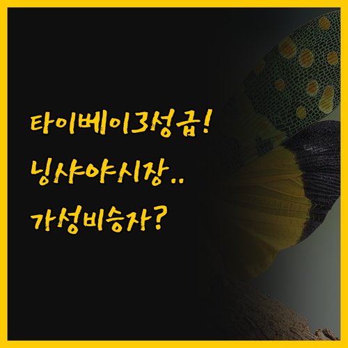 타이베이 메인역 3성급 호텔 두 곳 ..