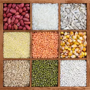 2025년 농식품바우처