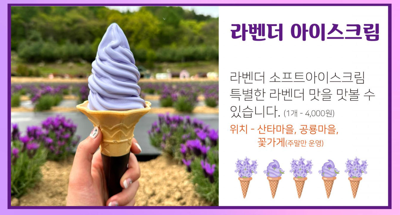 6월 꽃구경 가볼만한곳