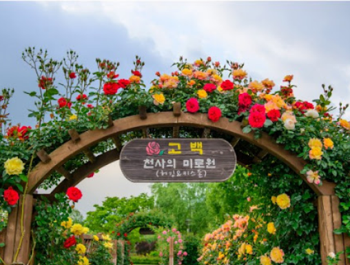 곡성장미축제 장미터널