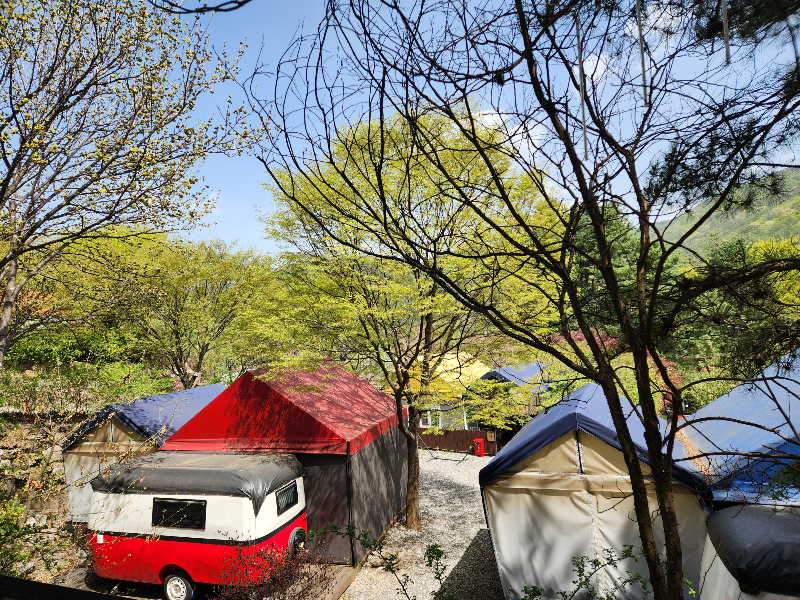 가평 별똥별 글램핑&카라반