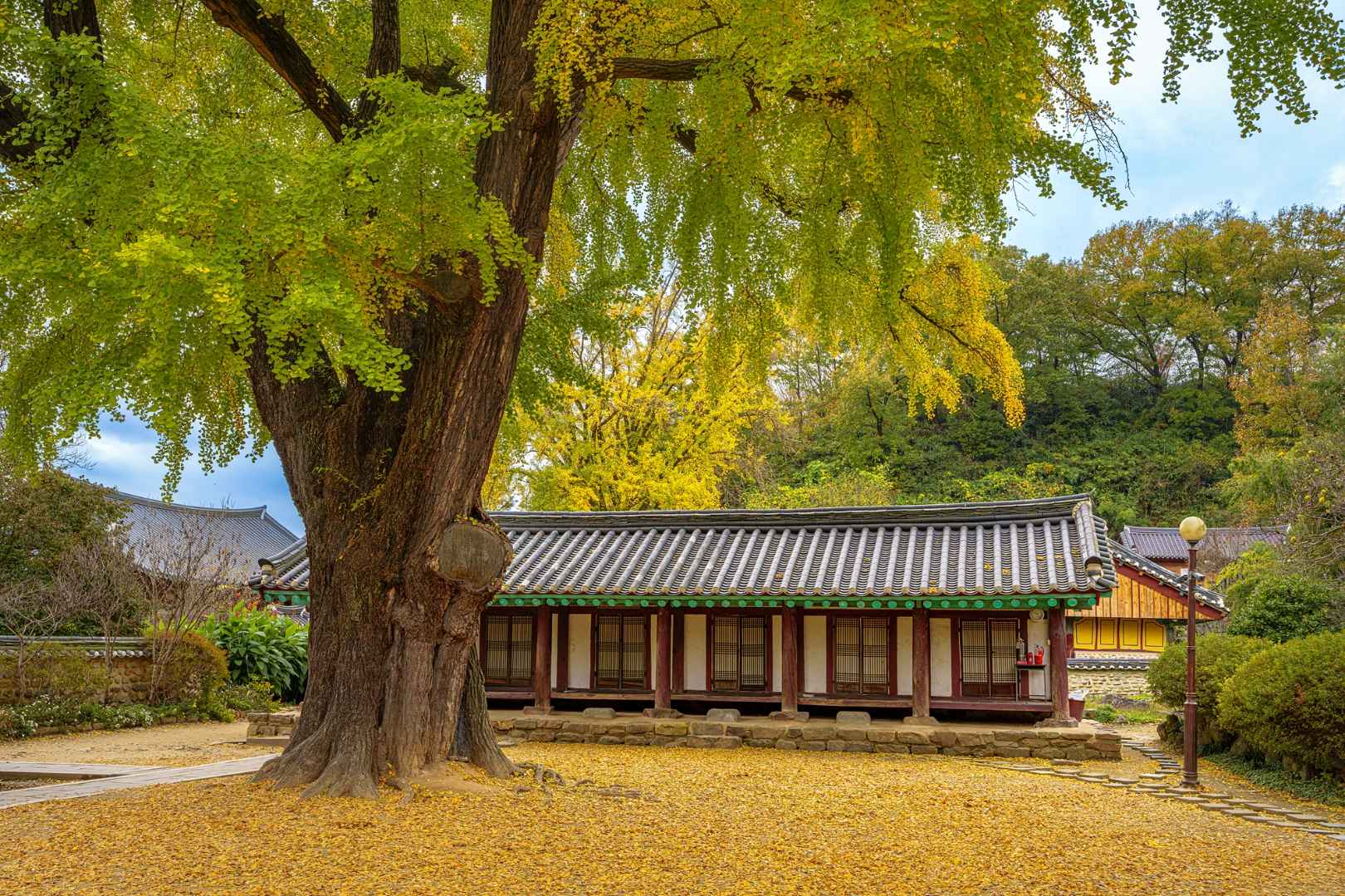 전주향교