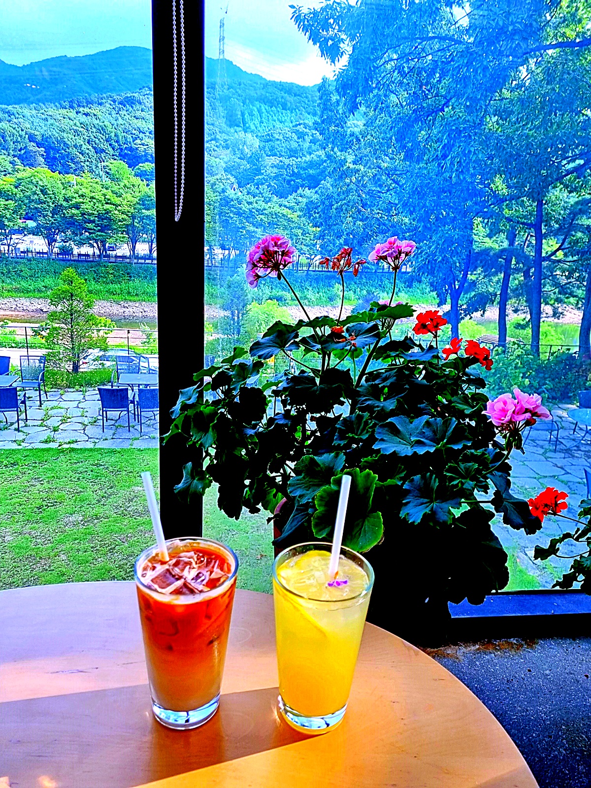 양주 오랑주리 카페: 자연 그대로 실내에 담은 대형 식물원 카페