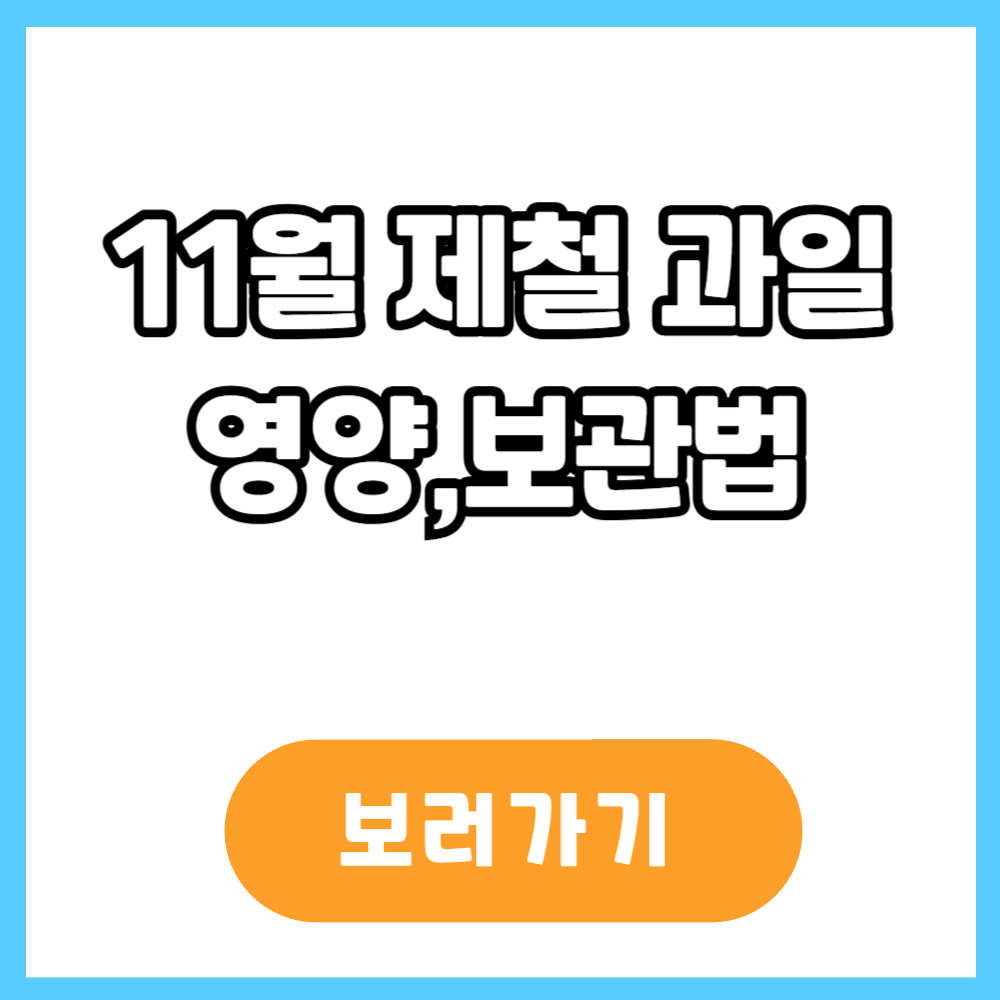 11월 제철 과일 영양 보관법