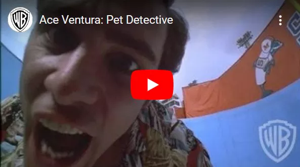 에이스 벤추라 예고편 화면