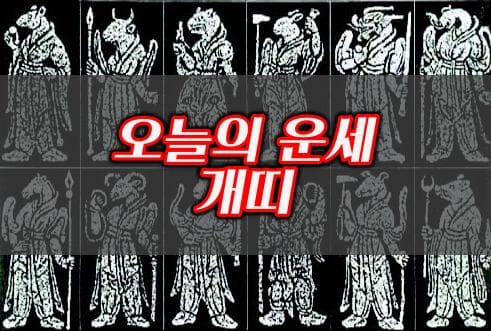오늘의운세-개띠