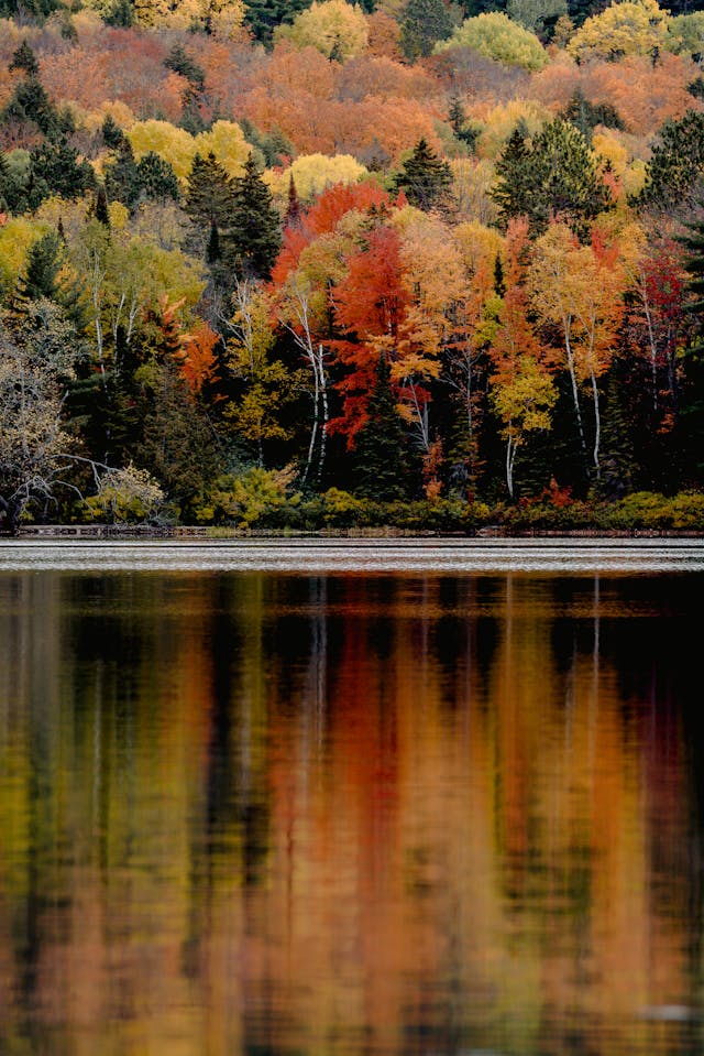 감성 가을 여행 사진 포인트｜2025 단풍빛 인생샷 명소
