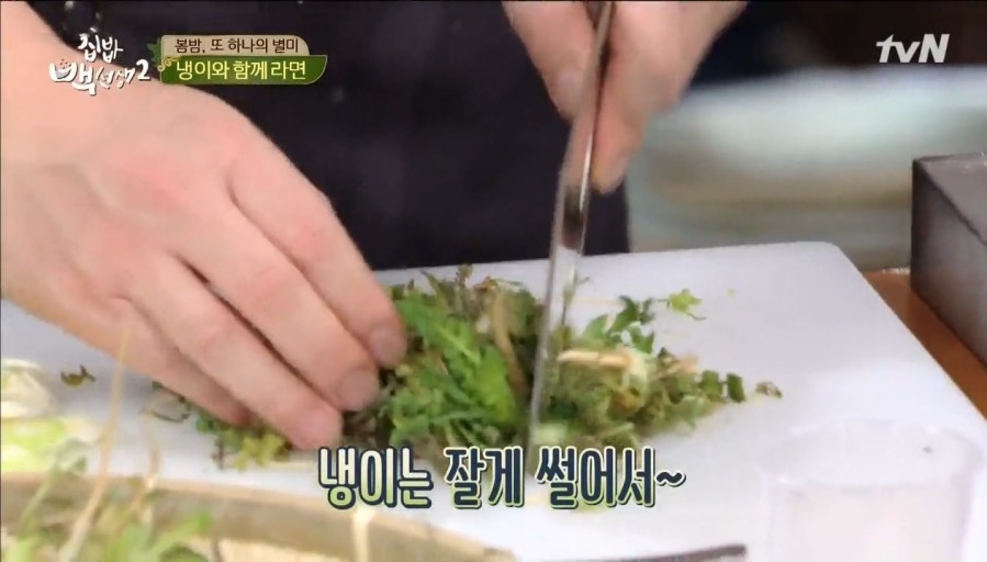 봄나물종류와효능 냉이 달래 쑥 두릅 씀바귀 머위 돌나물