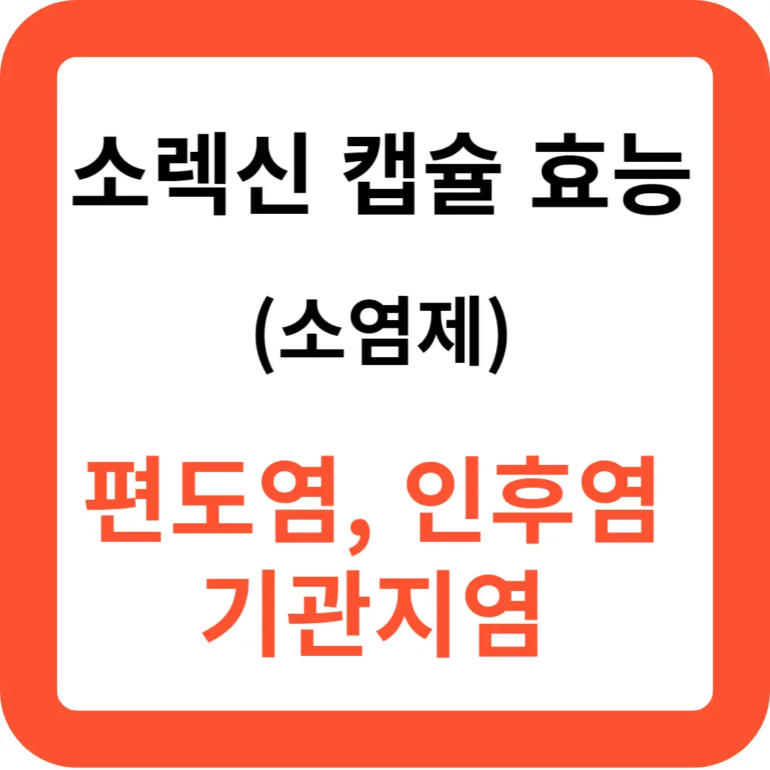 소렉신-캡슐-효능과-복용법-추천