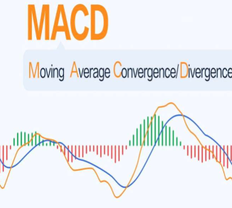 macd보조지표 보는법 알아보기