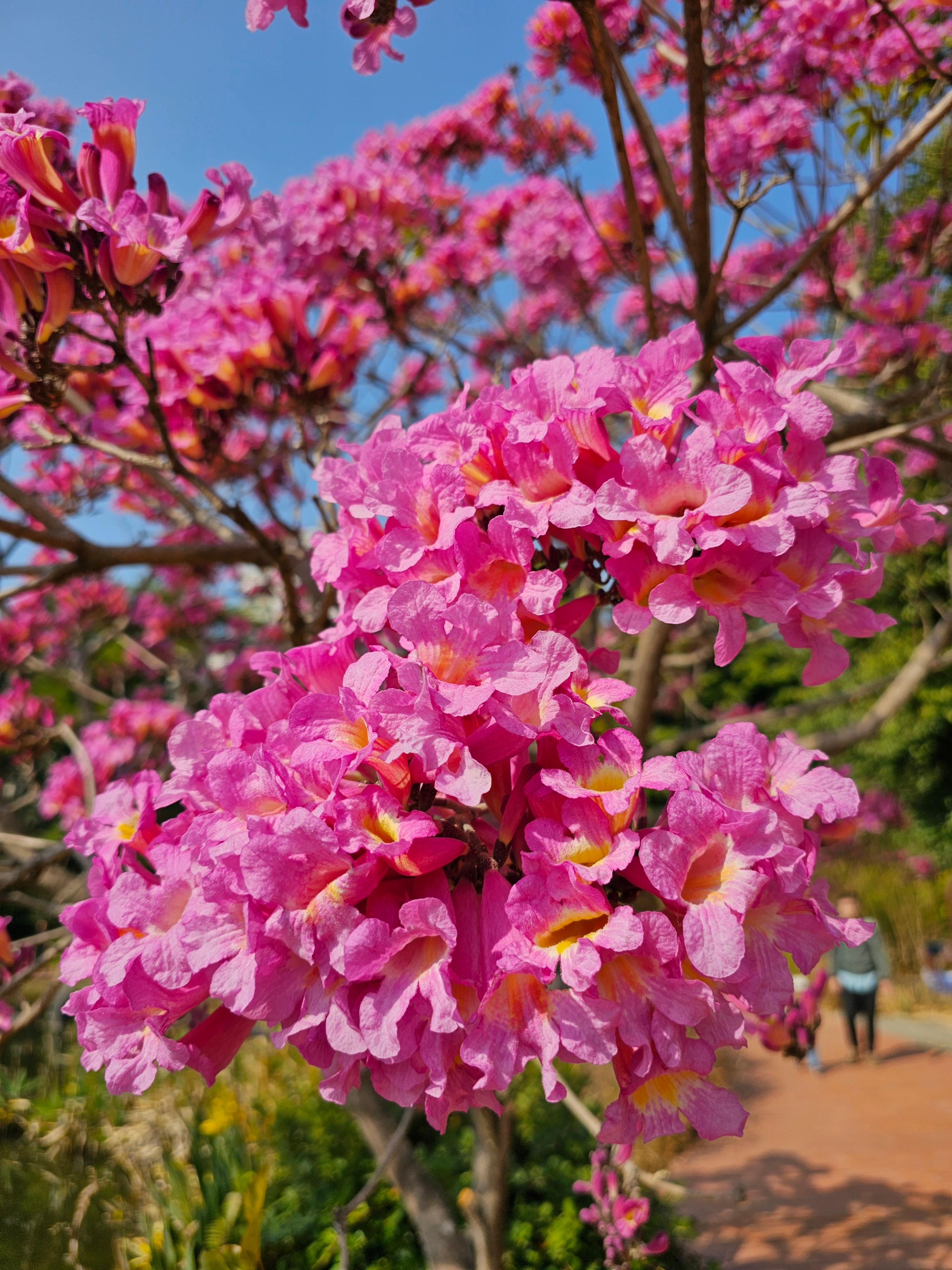 광저우 화남식물원