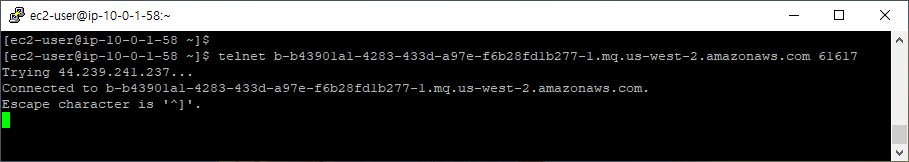 000_telnet_test.png