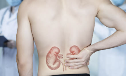 신장에 좋은 음식 7가지 조리법 나쁜 음식 등 총정리(최신)