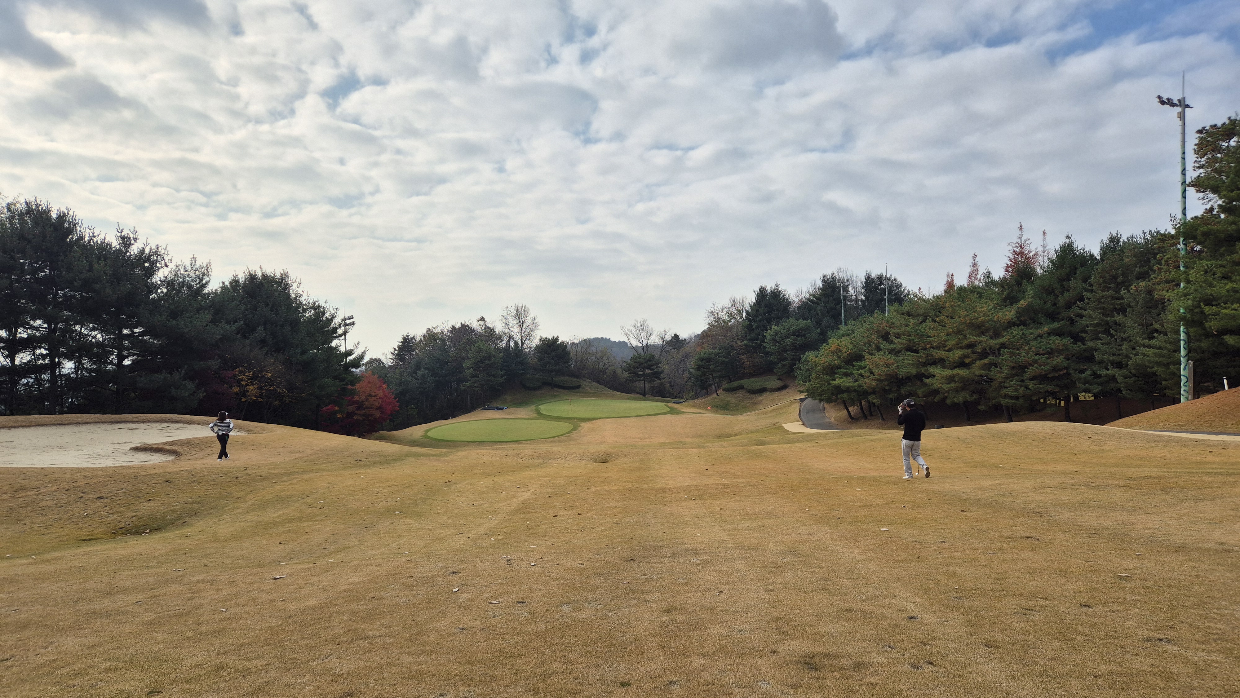 올데이 떼제베cc 누리코스 사진 및 공략 정보