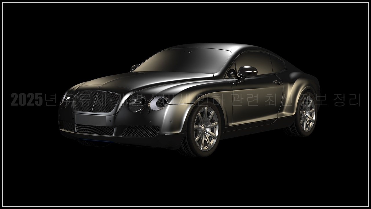 2025년 개별소비세 인하 적용 품목, 자동차 적용 대상 품목 총정리