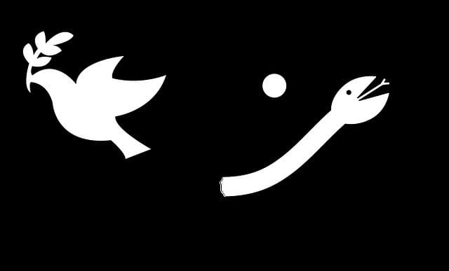 캠핑카 여행 가이드: 자유롭게 떠나는 로드트립