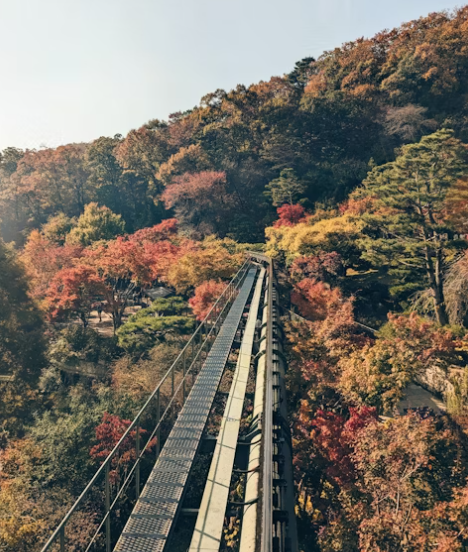모노레일타면서 찍은 사진 