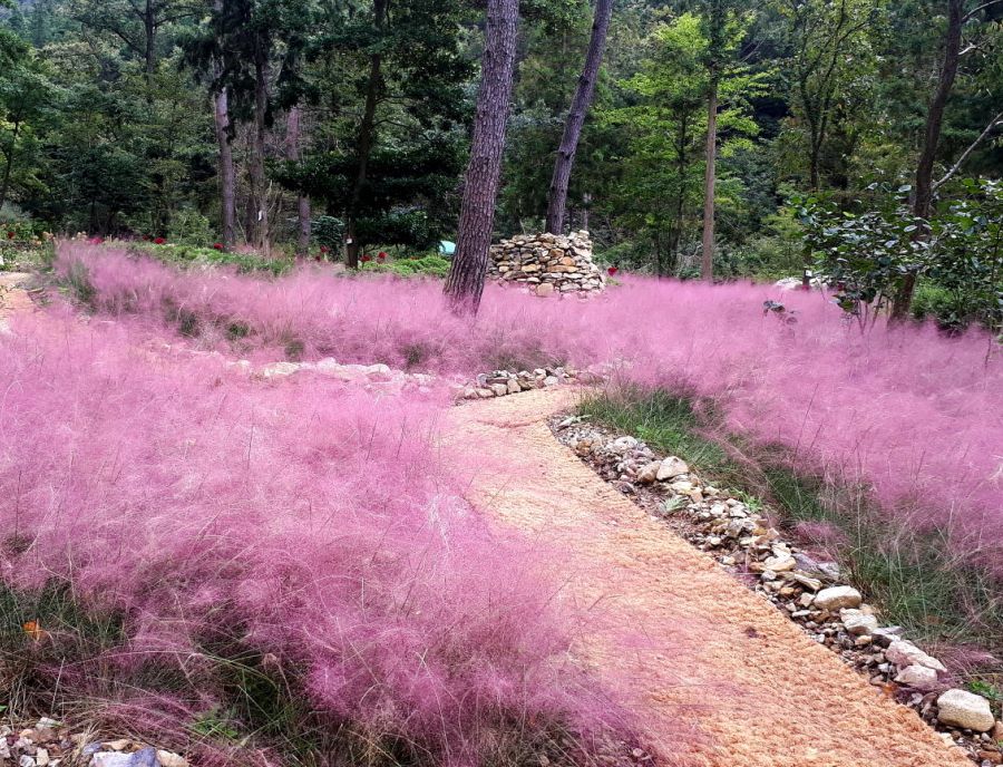 포레스트수목원