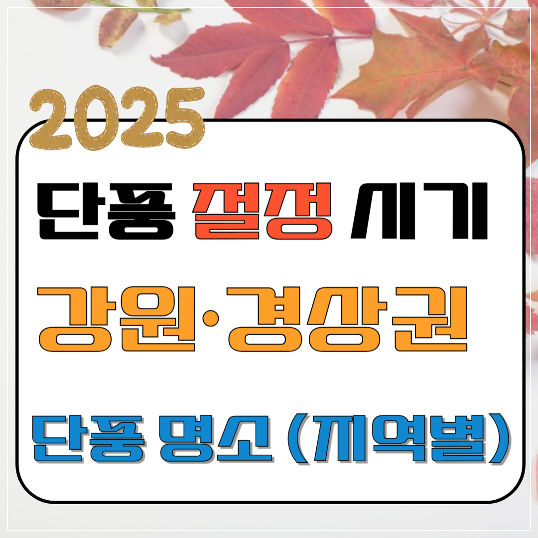 2025년 단풍 절정 시기 - 강원·경상권 단풍 명소(도심 산책형)이미지