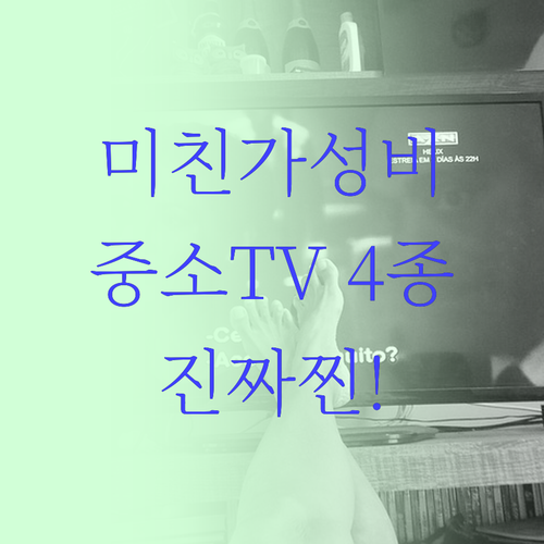 중소바이미 4종 직접 비교해보니 내게..