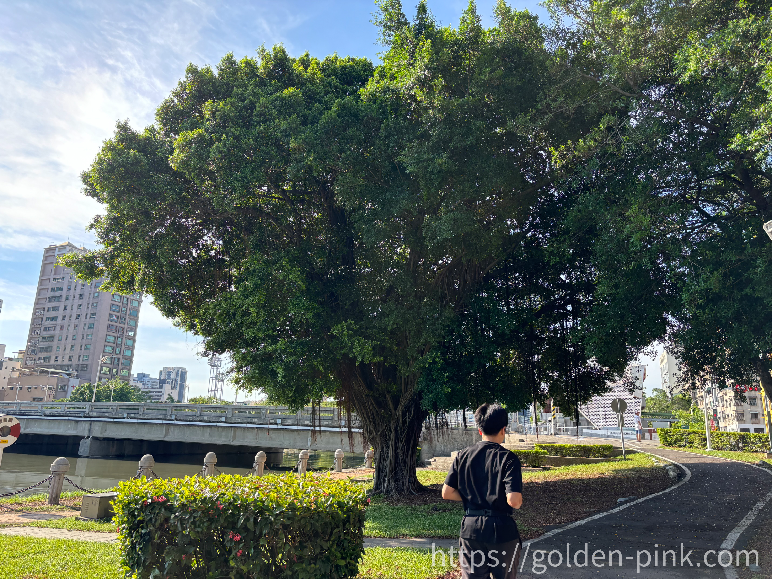 러브 리버에서 러닝을 즐기고 있는 모습 사진