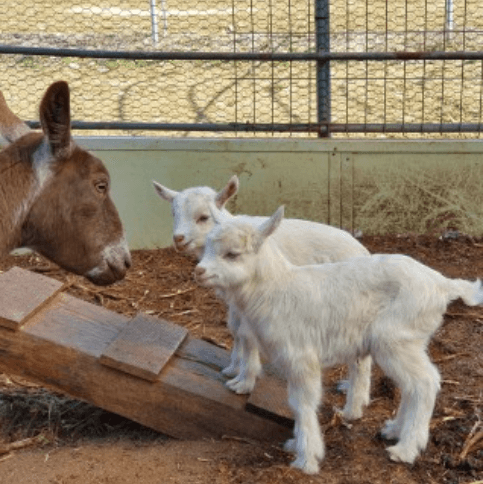 μ¨λ΄μλ¬Όμ-κ°€λ¬λ¦¬