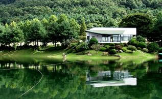 청남대 봄꽃축제 영춘제