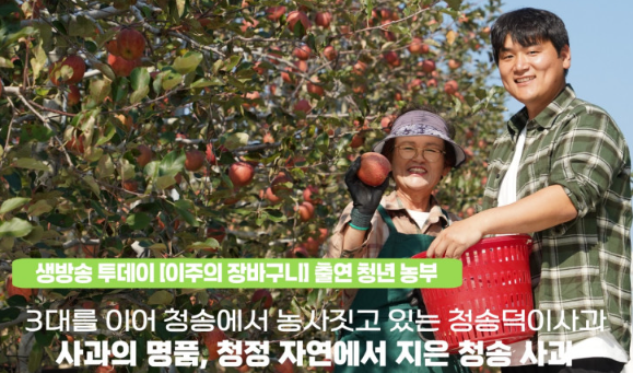 청송덕이사과