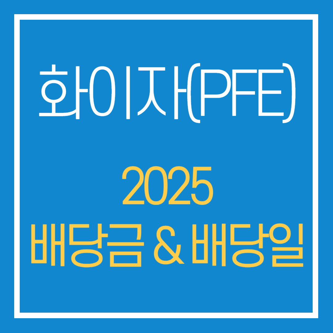화이자 2025 배당금 배당일