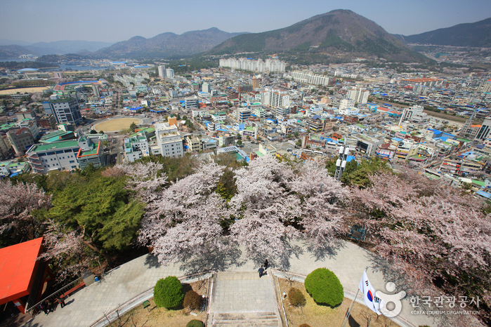 2023년 봄 축제 일정
