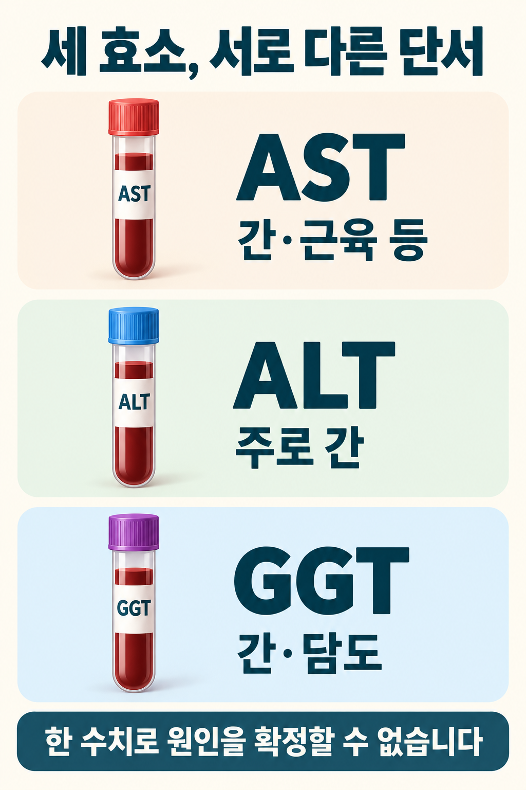 ALT&middot;AST&middot;GGT가 서로 다른 단서를 주며 단독으로 원인을 확정하지 못함을 나타낸 그림